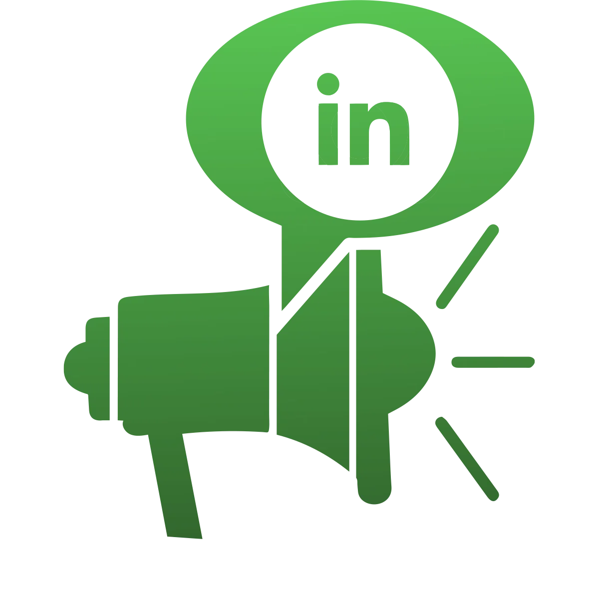 LinkedIn Ads Management